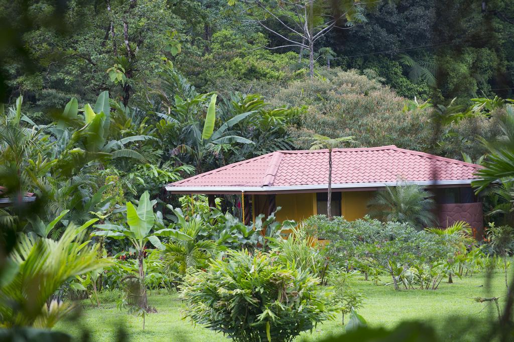 Hotel Catarata Rio Celeste Bijagua Eksteriør billede