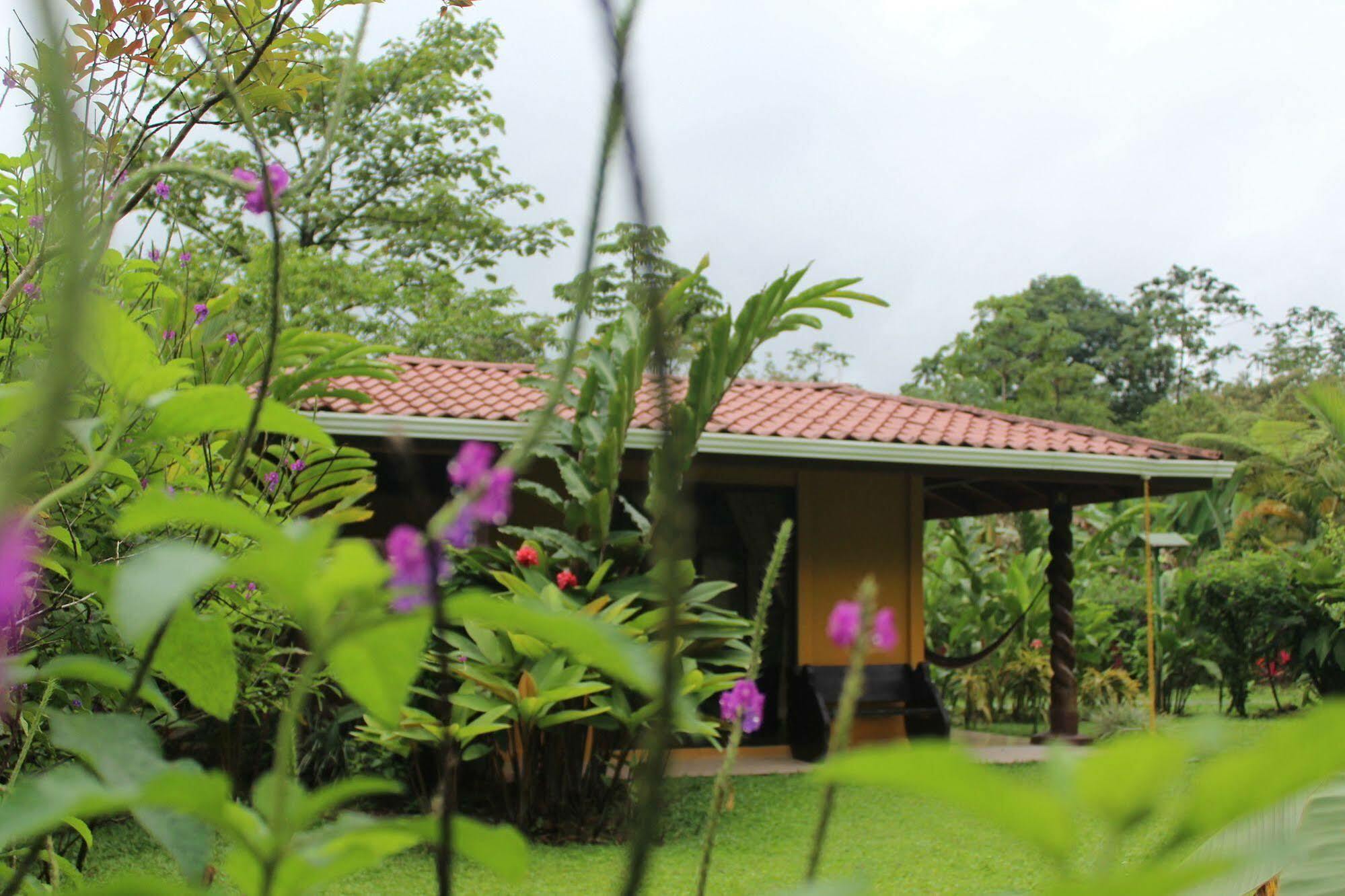 Hotel Catarata Rio Celeste Bijagua Eksteriør billede