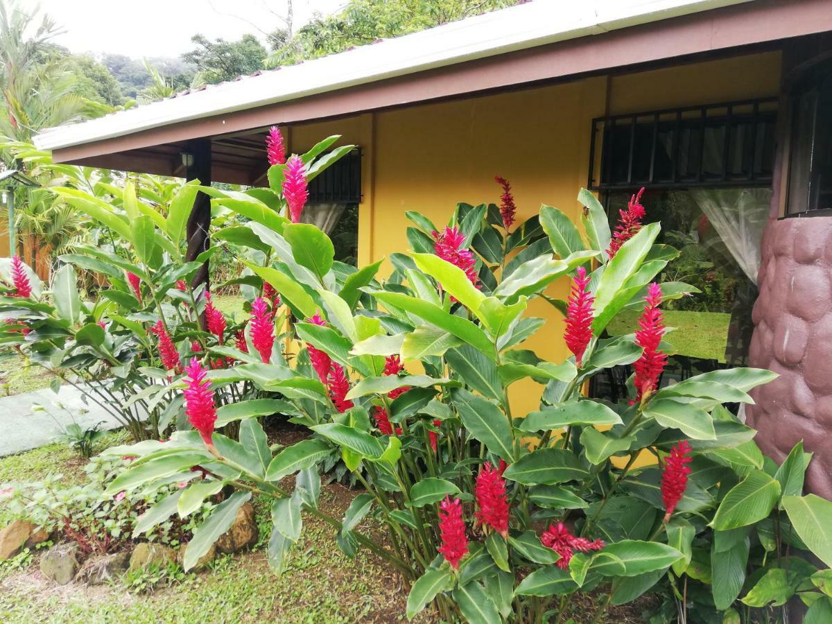 Hotel Catarata Rio Celeste Bijagua Eksteriør billede