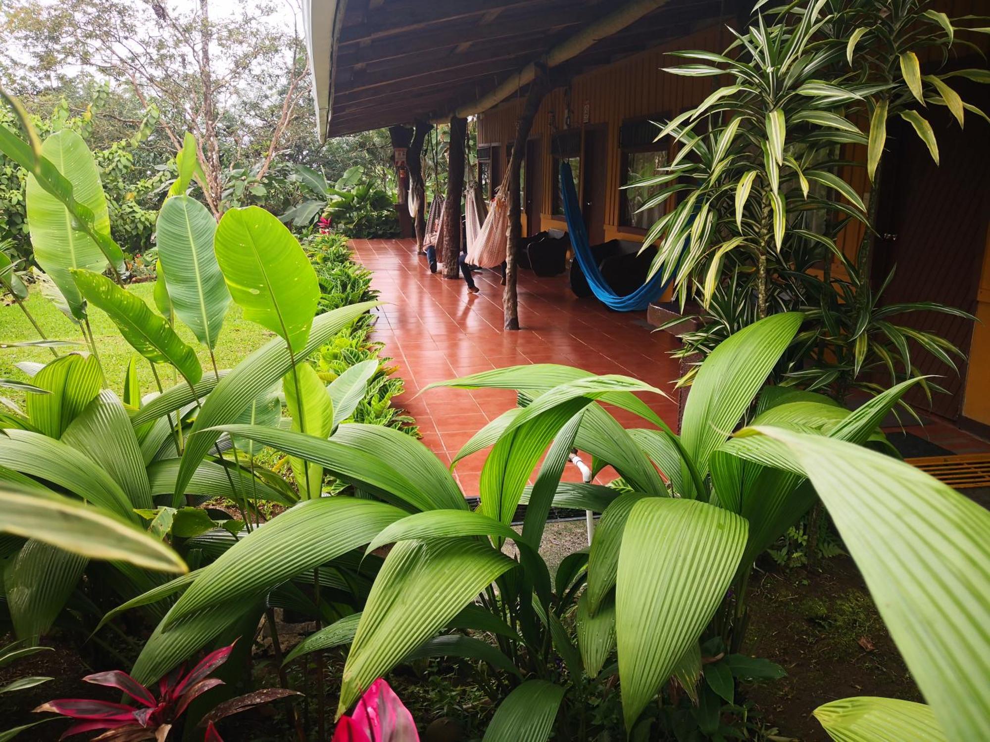 Hotel Catarata Rio Celeste Bijagua Eksteriør billede